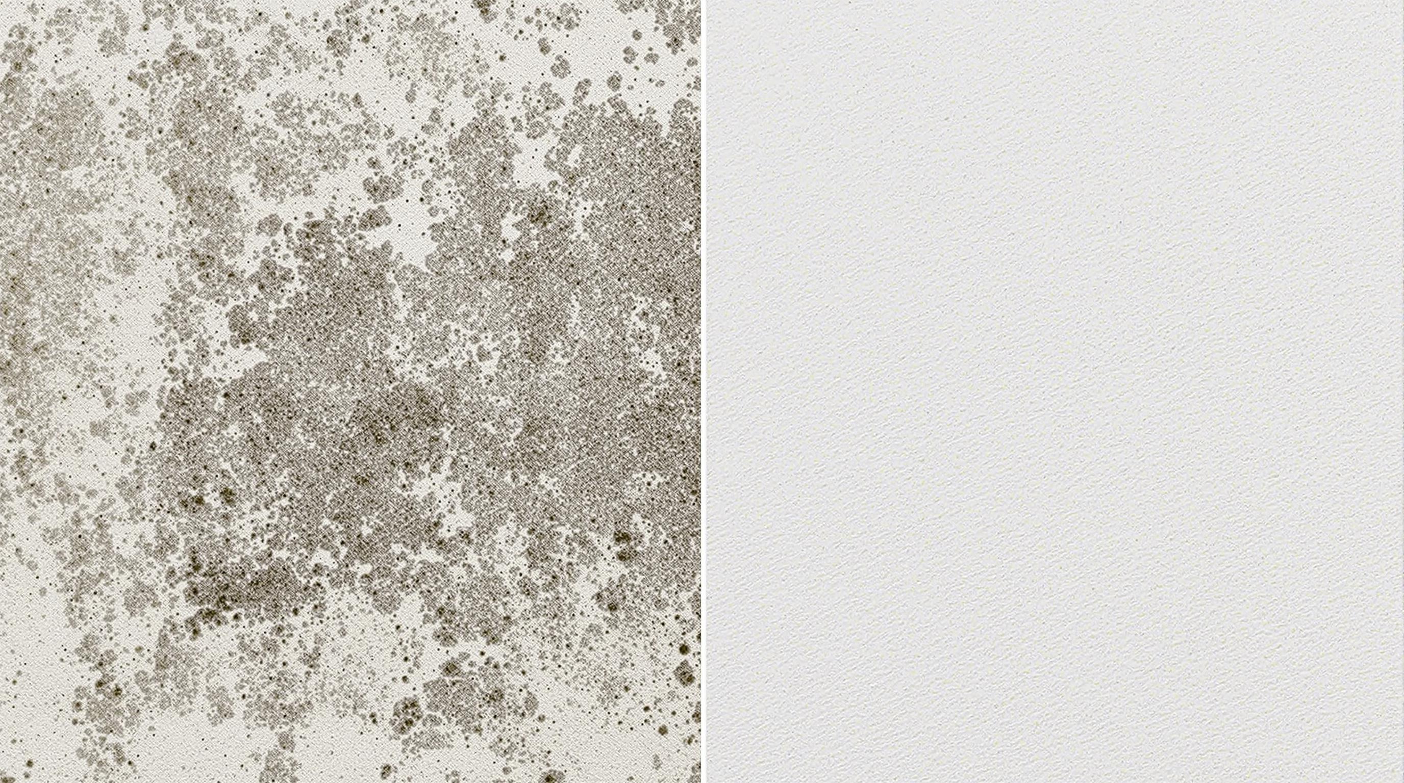 Comparatif avant/après nettoyage d’un crépi blanc avec brossage doux