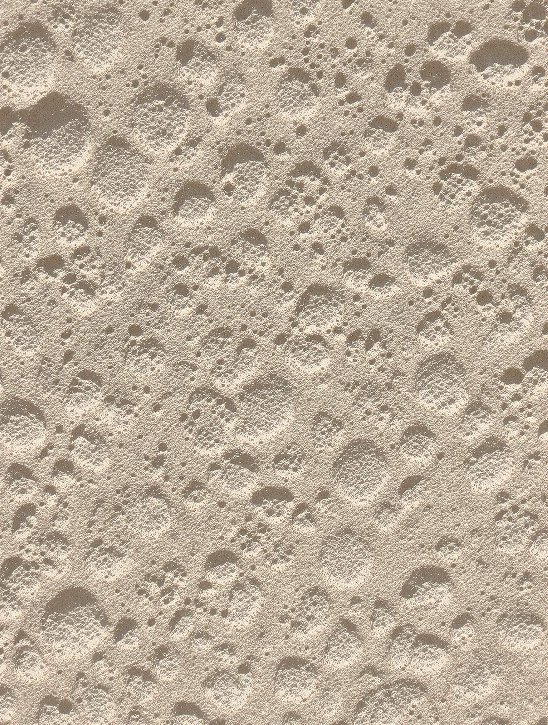 Bloc de calcaire avec pores visibles, teintes crème et texture détaillée