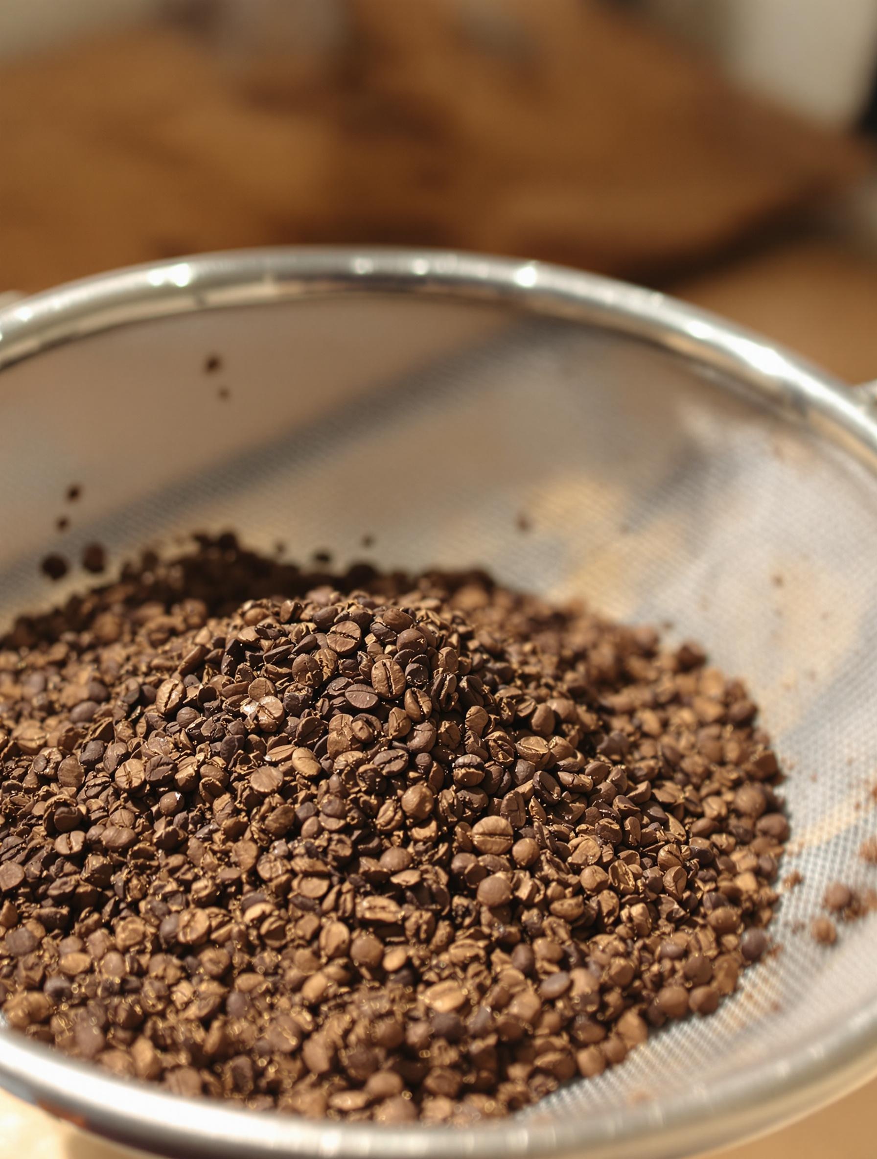Marc de café bien sec prêt à être utilisé comme engrais pour orchidée