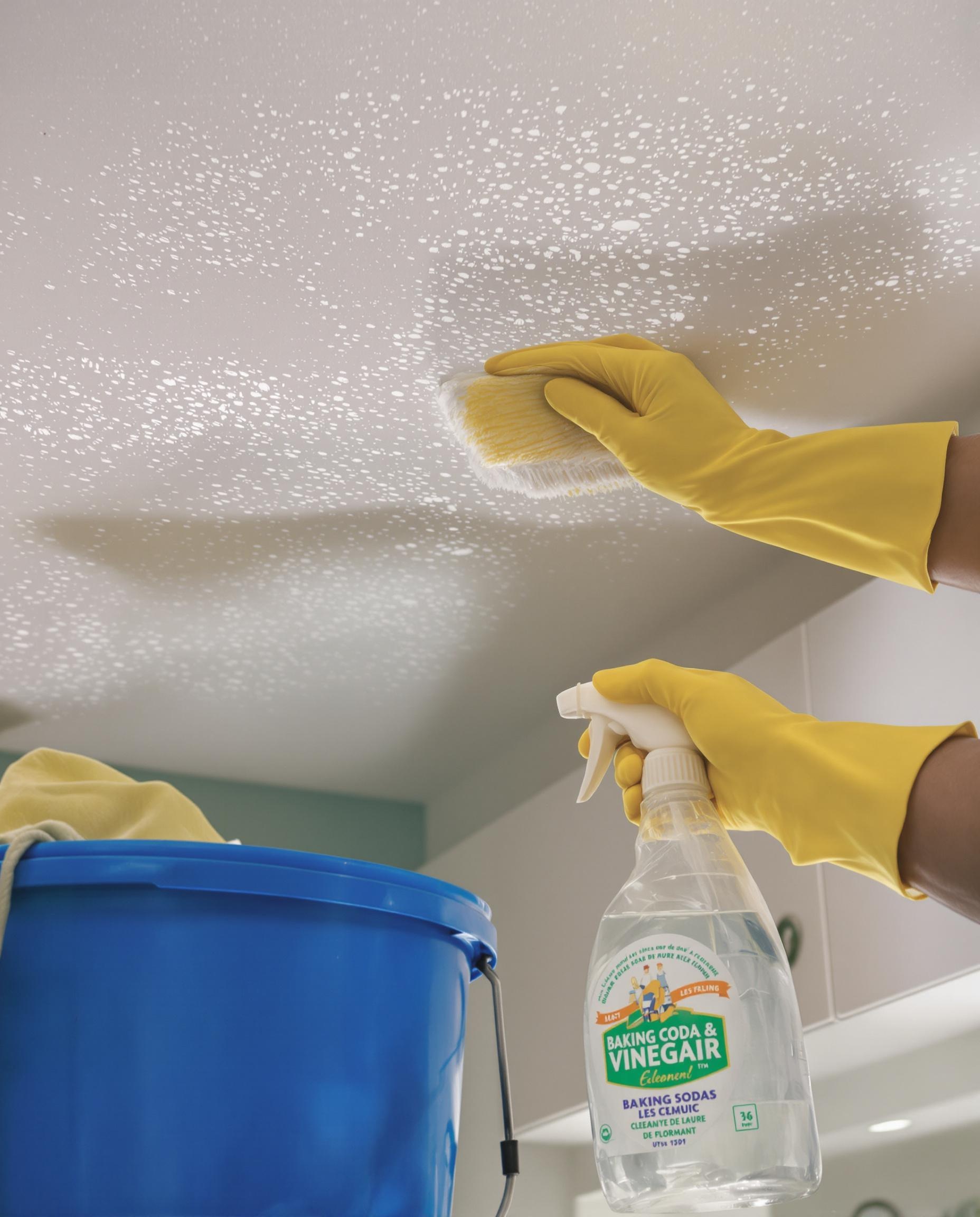 Nettoyage méthodique du plafond avec bicarbonate et vinaigre