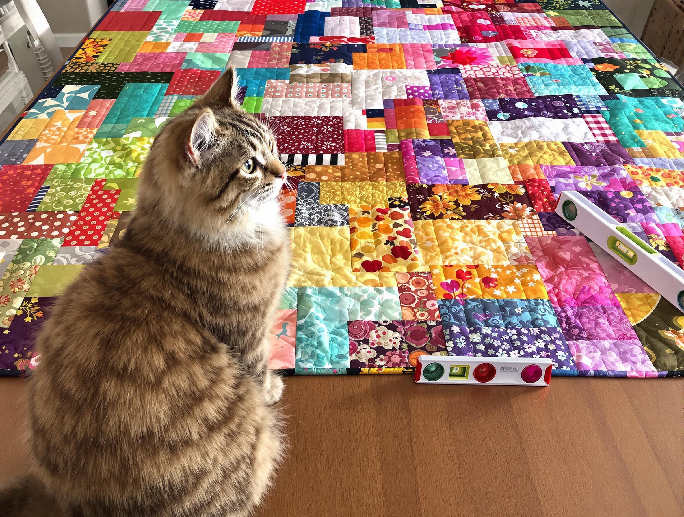 Patchwork coton vibrant chat critique niveau à bulle artisan textile