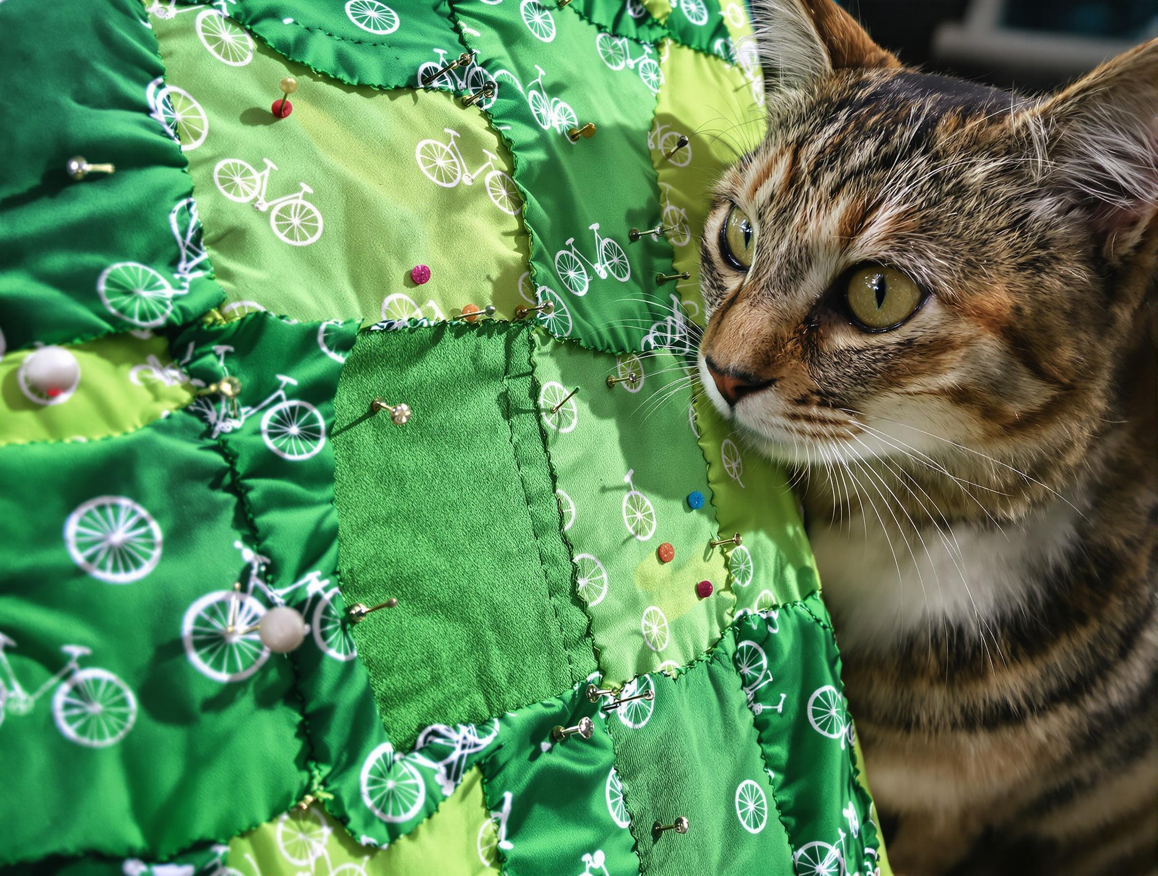 Assemblage d'un patchwork vélo vert avec épinglage, sous l'œil critique d'un chat.
