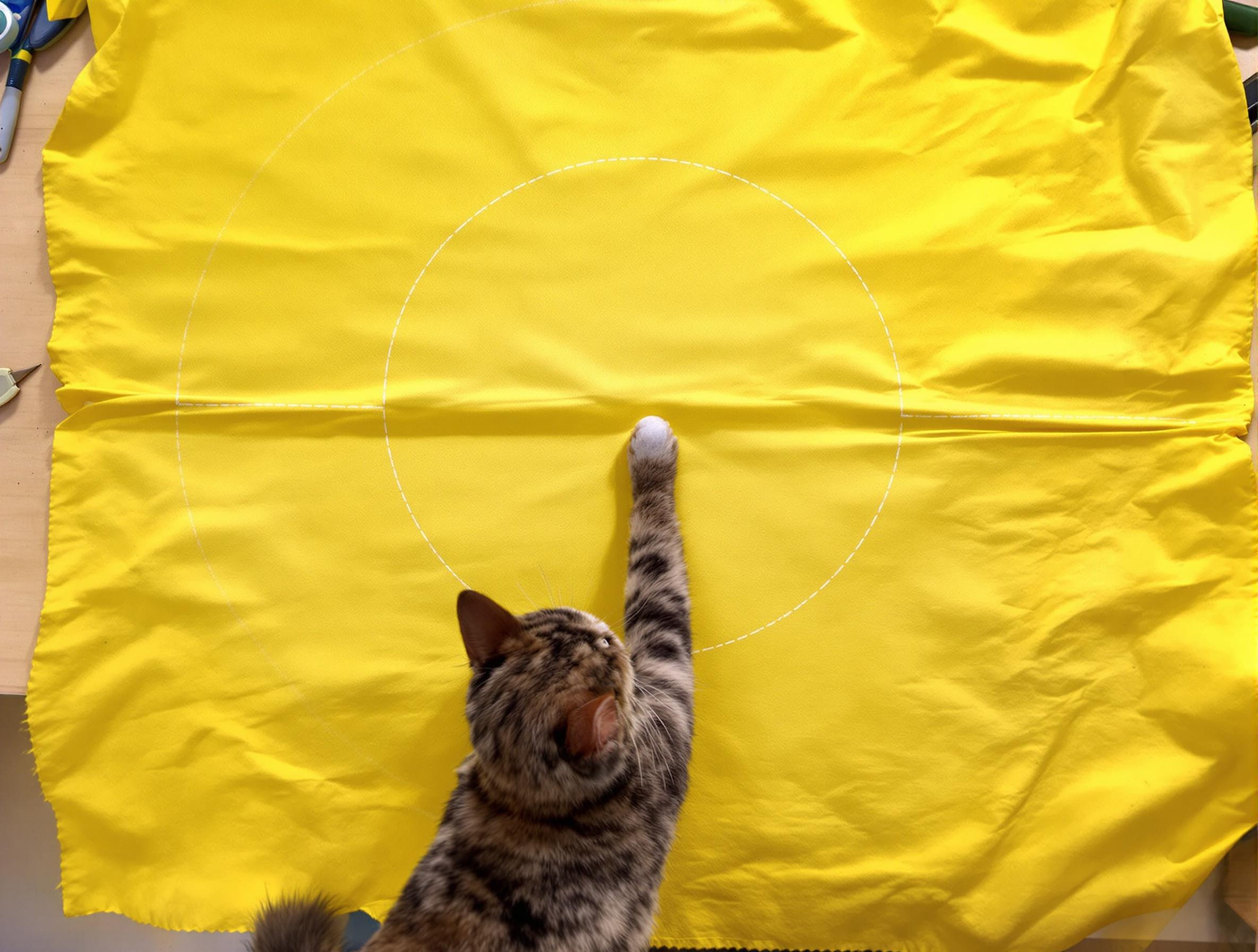 Tissu jaune plié en quatre avec marquage à la craie, chat espiègle observant.